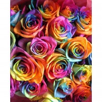 Rainbow roses - 19 pcs